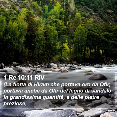 1 Re 10:11 RIV Bible Verse Image