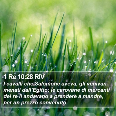 1 Re 10:28 RIV Bible Verse Image