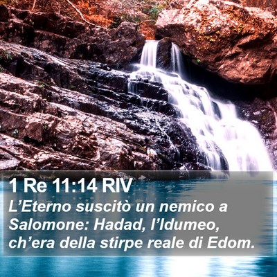 1 Re 11:14 RIV Bible Verse Image