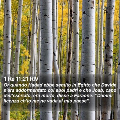 1 Re 11:21 RIV Bible Verse Image
