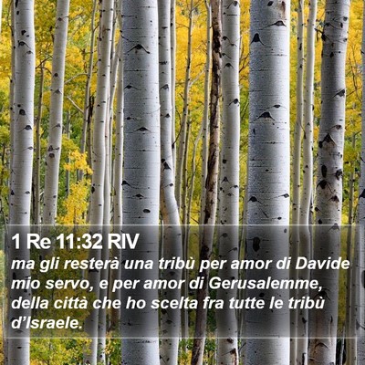 1 Re 11:32 RIV Bible Verse Image