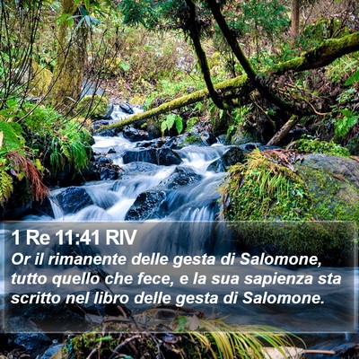 1 Re 11:41 RIV Bible Verse Image