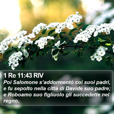 1 Re 11:43 RIV Bible Verse Image