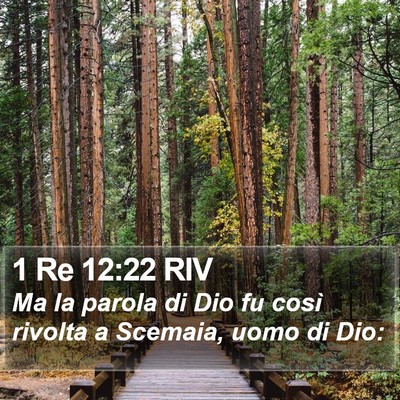 1 Re 12:22 RIV Bible Verse Image
