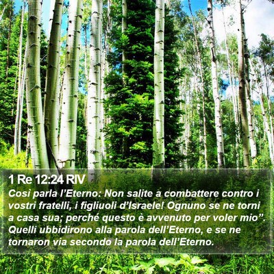 1 Re 12:24 RIV Bible Verse Image