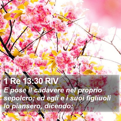 1 Re 13:30 RIV Bible Verse Image
