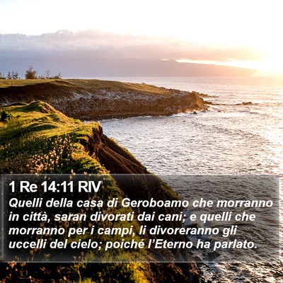 1 Re 14:11 RIV Bible Verse Image