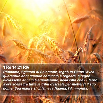 1 Re 14:21 RIV Bible Verse Image