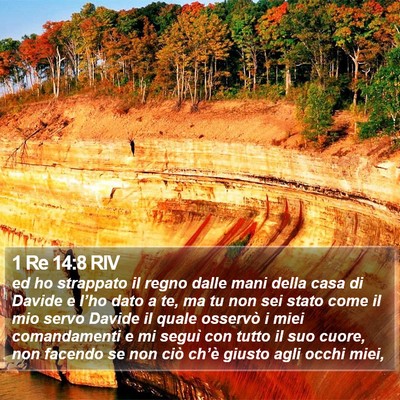 1 Re 14:8 RIV Bible Verse Image
