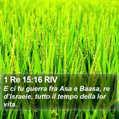 1 Re 15:16 RIV Bible Verse Image