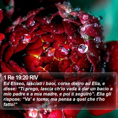 1 Re 19:20 RIV Bible Verse Image
