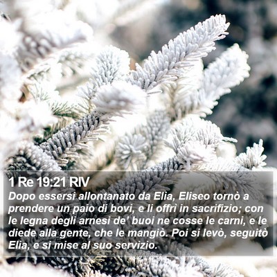 1 Re 19:21 RIV Bible Verse Image