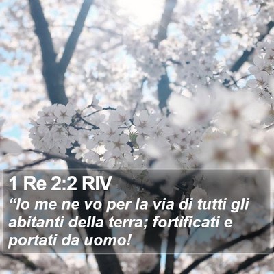 1 Re 2:2 RIV Bible Verse Image