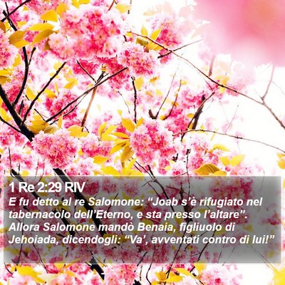 1 Re 2:29 RIV Bible Verse Image