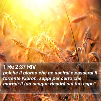 1 Re 2:37 RIV Bible Verse Image
