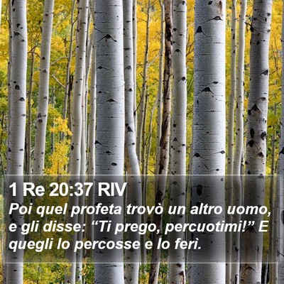 1 Re 20:37 RIV Bible Verse Image