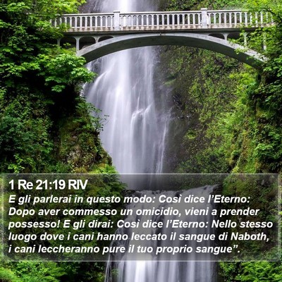 1 Re 21:19 RIV Bible Verse Image