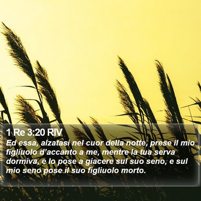 1 Re 3:20 RIV Bible Verse Image