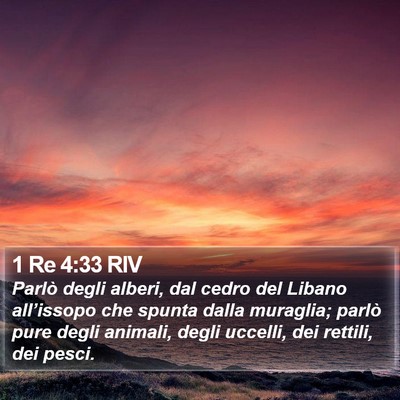 1 Re 4:33 RIV Bible Verse Image