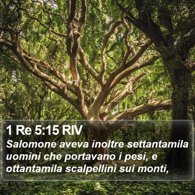 1 Re 5:15 RIV Bible Verse Image