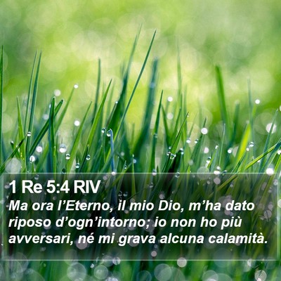 1 Re 5:4 RIV Bible Verse Image