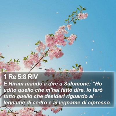 1 Re 5:8 RIV Bible Verse Image