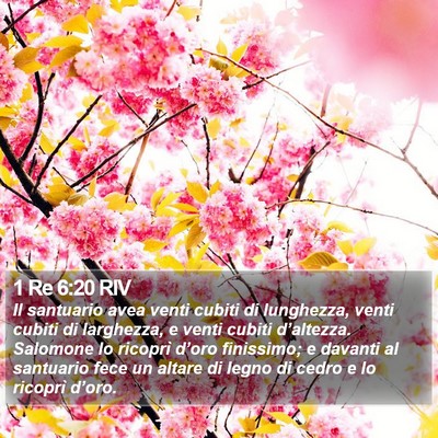 1 Re 6:20 RIV Bible Verse Image