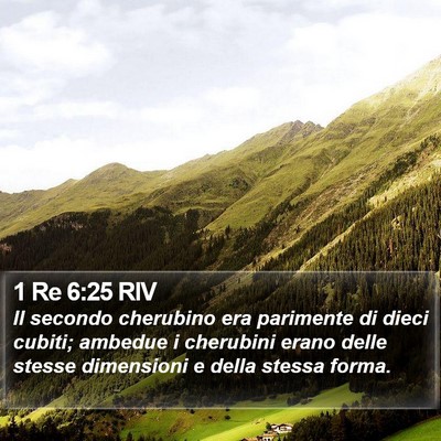 1 Re 6:25 RIV Bible Verse Image