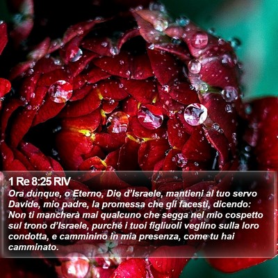 1 Re 8:25 RIV Bible Verse Image