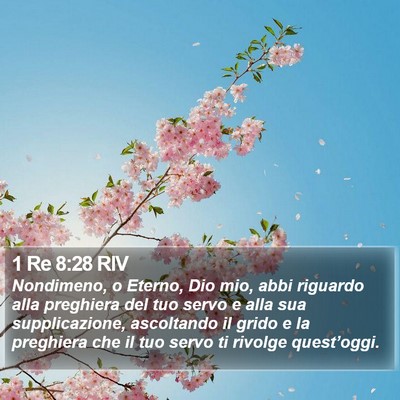 1 Re 8:28 RIV Bible Verse Image