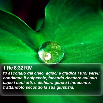 1 Re 8:32 RIV Bible Verse Image