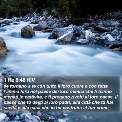 1 Re 8:48 RIV Bible Verse Image