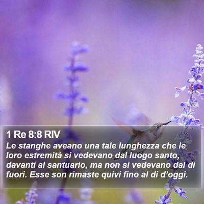 1 Re 8:8 RIV Bible Verse Image