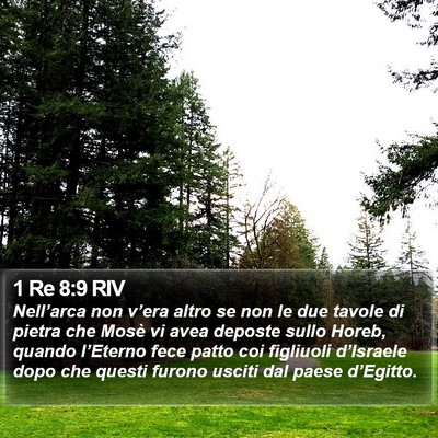 1 Re 8:9 RIV Bible Verse Image