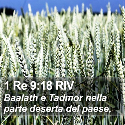 1 Re 9:18 RIV Bible Verse Image