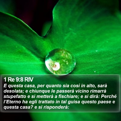 1 Re 9:8 RIV Bible Verse Image