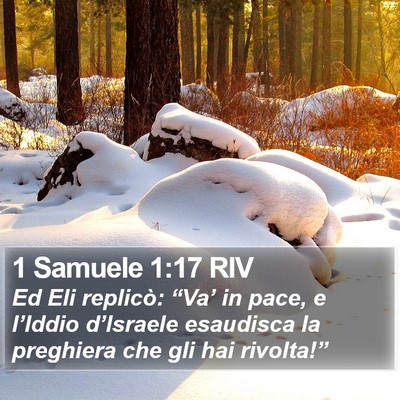 1 Samuele 1:17 RIV Bible Verse Image