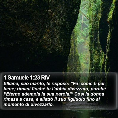 1 Samuele 1:23 RIV Bible Verse Image