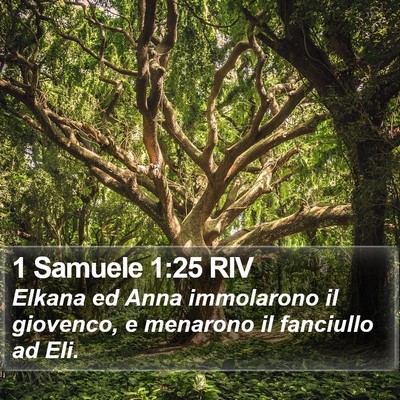 1 Samuele 1:25 RIV Bible Verse Image