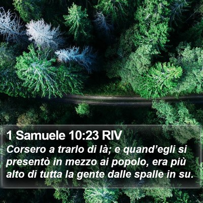 1 Samuele 10:23 RIV Bible Verse Image