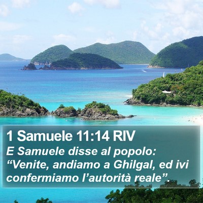 1 Samuele 11:14 RIV Bible Verse Image