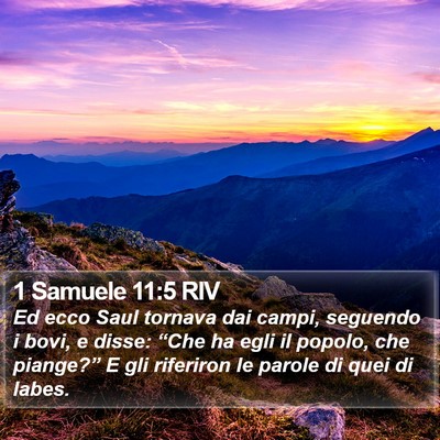 1 Samuele 11:5 RIV Bible Verse Image