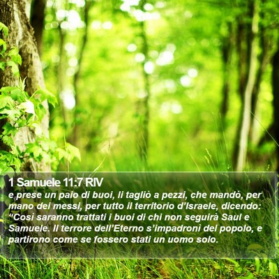 1 Samuele 11:7 RIV Bible Verse Image