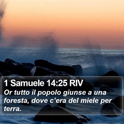 1 Samuele 14:25 RIV Bible Verse Image
