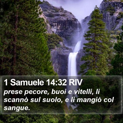 1 Samuele 14:32 RIV Bible Verse Image