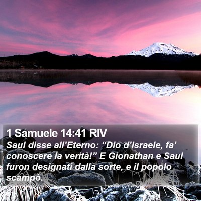 1 Samuele 14:41 RIV Bible Verse Image