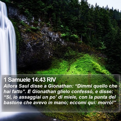 1 Samuele 14:43 RIV Bible Verse Image