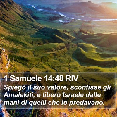 1 Samuele 14:48 RIV Bible Verse Image