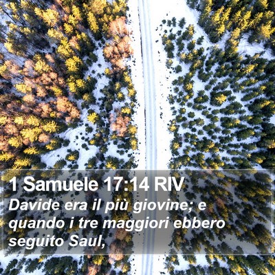 1 Samuele 17:14 RIV Bible Verse Image