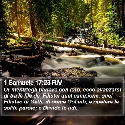 1 Samuele 17:23 RIV Bible Verse Image